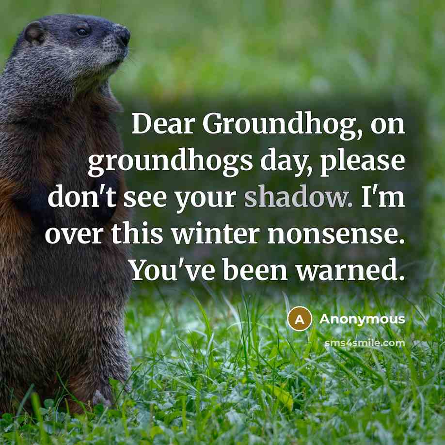 “Dear Groundhog, on groundhogs day, please don't see your shadow. I'm over this winter nonsense. You've been warned.” quote by Anonymous