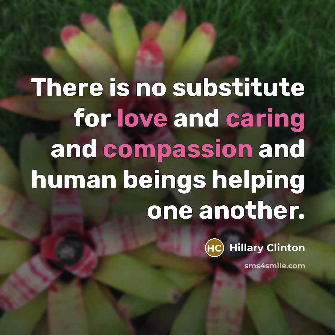 “There is no substitute for love and caring and compassion and human beings helping one another.” quote by Hillary Clinton