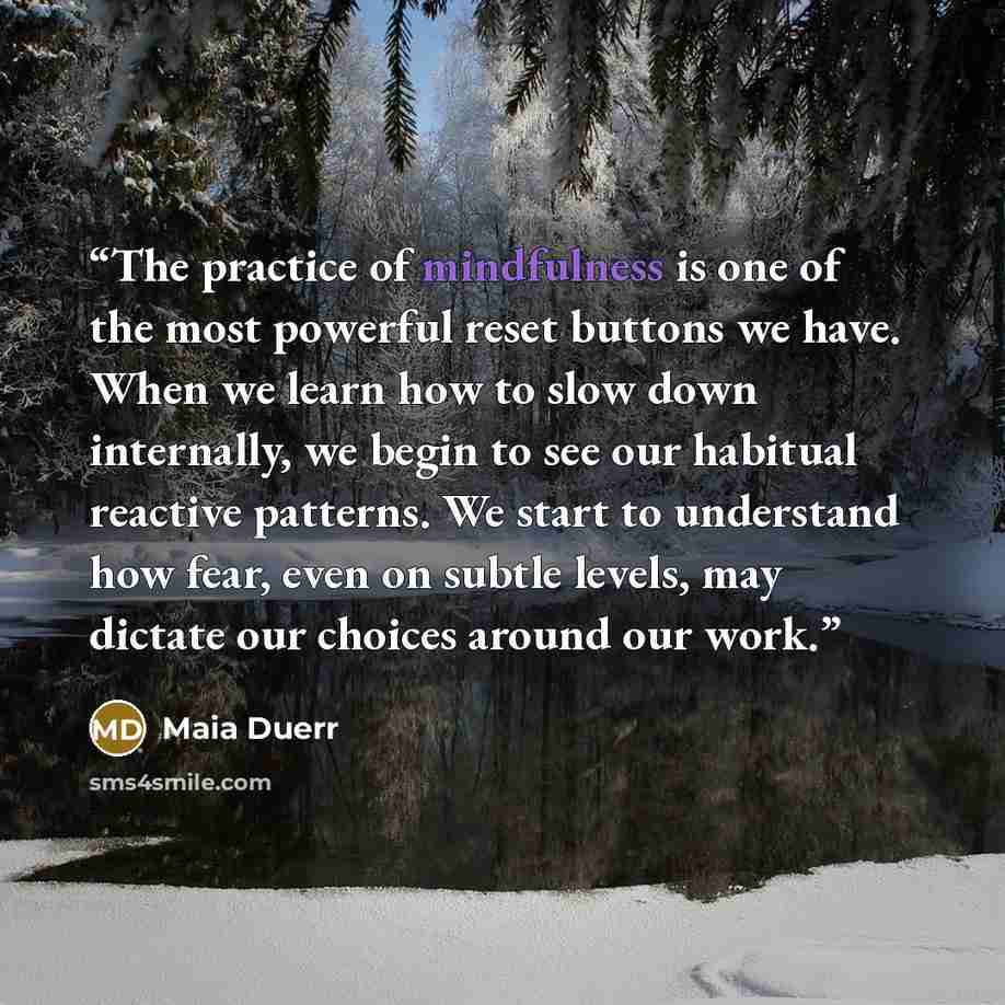 “The practice of mindfulness is one of the most powerful reset buttons we have. When we learn how to slow down internally, we begin to see our habitual reactive patterns. We start to understand how fear, even on subtle levels, may dictate our choices around our work.” quote by Maia Duerr
