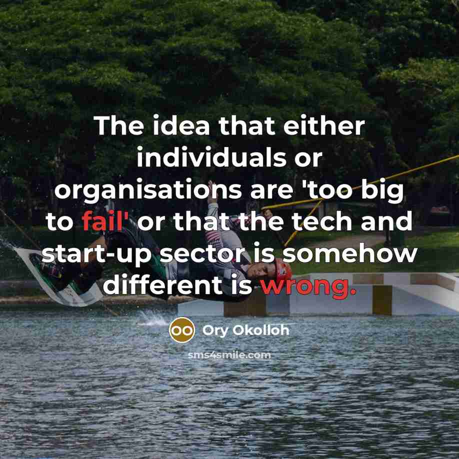 “The idea that either individuals or organisations are 'too big to fail' or that the tech and start-up sector is somehow different is wrong.” quote by Ory Okolloh