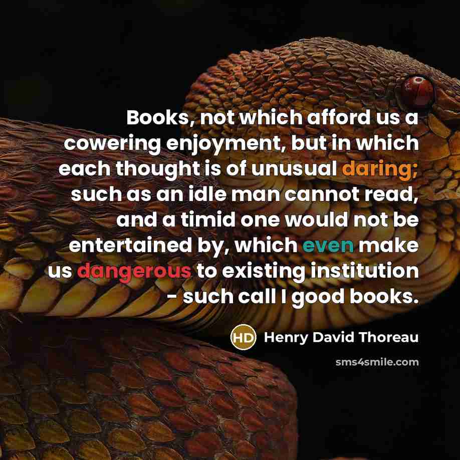 “Books, not which afford us a cowering enjoyment, but in which each thought is of unusual daring; such as an idle man cannot read, and a timid one would not be entertained by, which even make us dangerous to existing institution - such call I good books.” quote by Henry David Thoreau