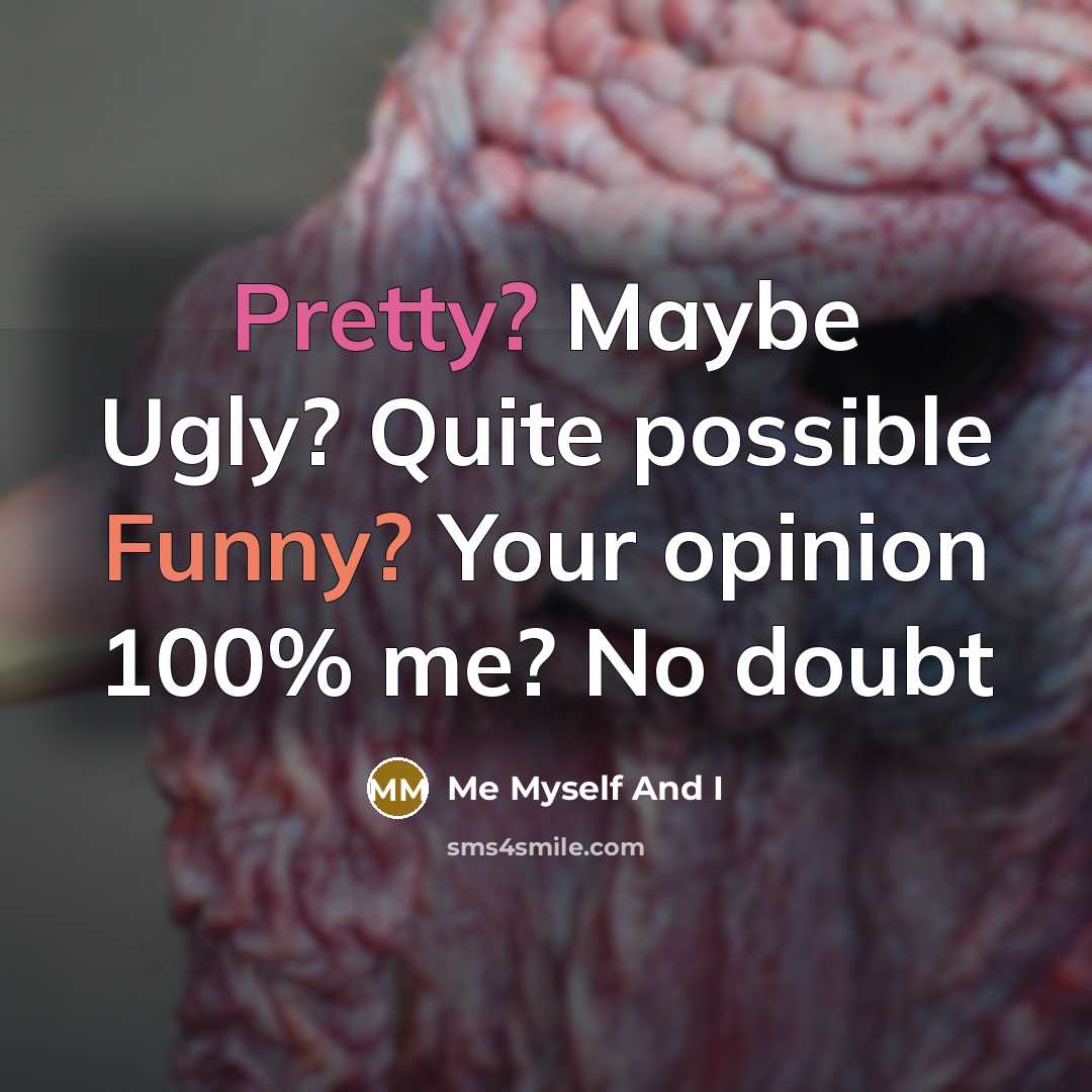 “Pretty? Maybe Ugly? Quite possible Funny? Your opinion 100% me? No doubt” quote by Me Myself And I