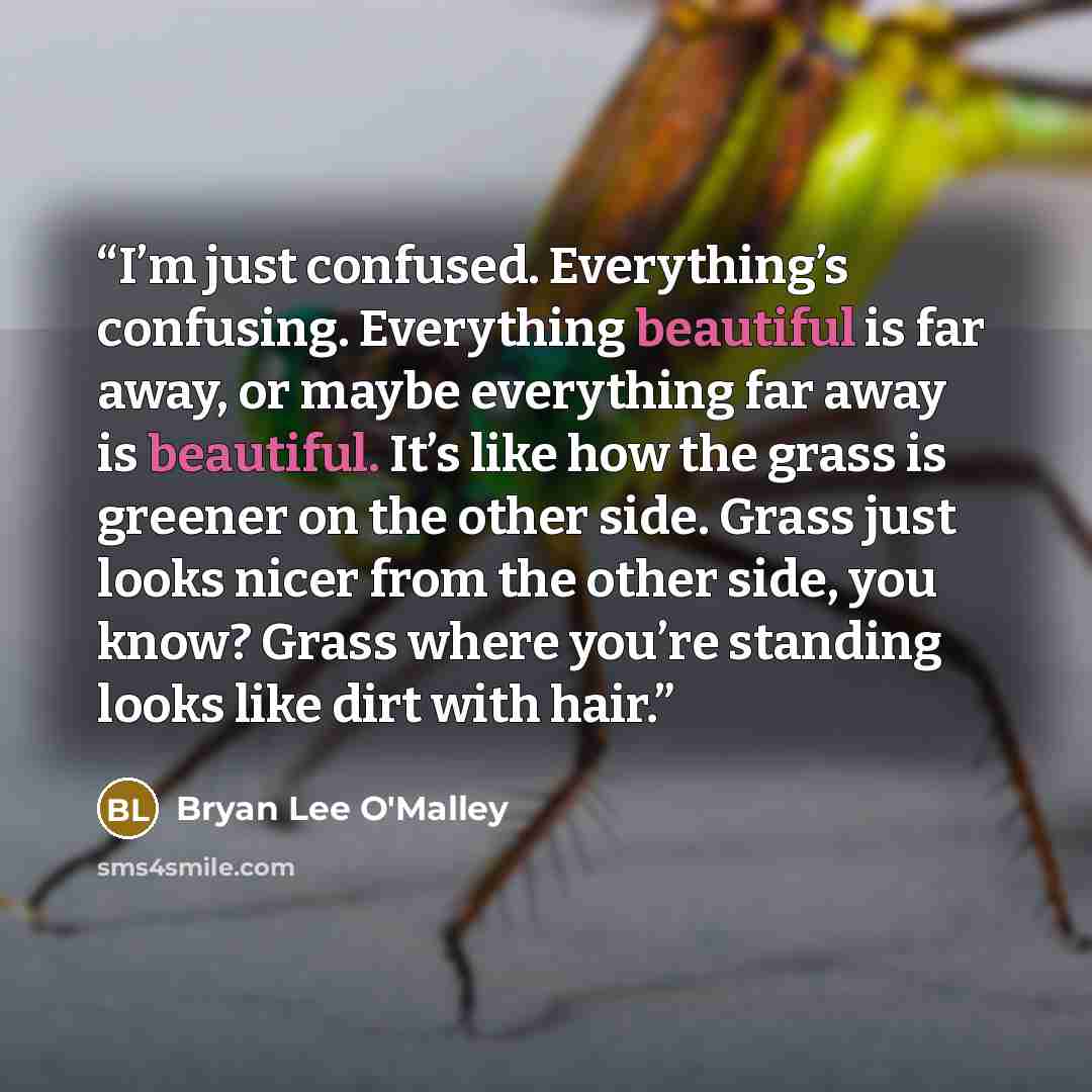 “I’m just confused. Everything’s confusing. Everything beautiful is far away, or maybe everything far away is beautiful. It’s like how the grass is greener on the other side. Grass just looks nicer from the other side, you know? Grass where you’re standing looks like dirt with hair.” quote by Bryan Lee O'Malley