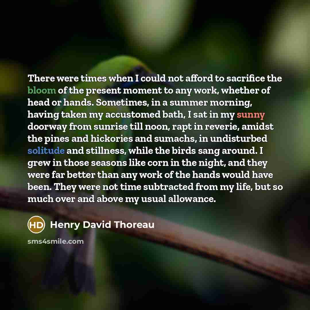 “There were times when I could not afford to sacrifice the bloom of the present moment to any work, whether of head or hands. Sometimes, in a summer morning, having taken my accustomed bath, I sat in my sunny doorway from sunrise till noon, rapt in reverie, amidst the pines and hickories and…” quote by Henry David Thoreau