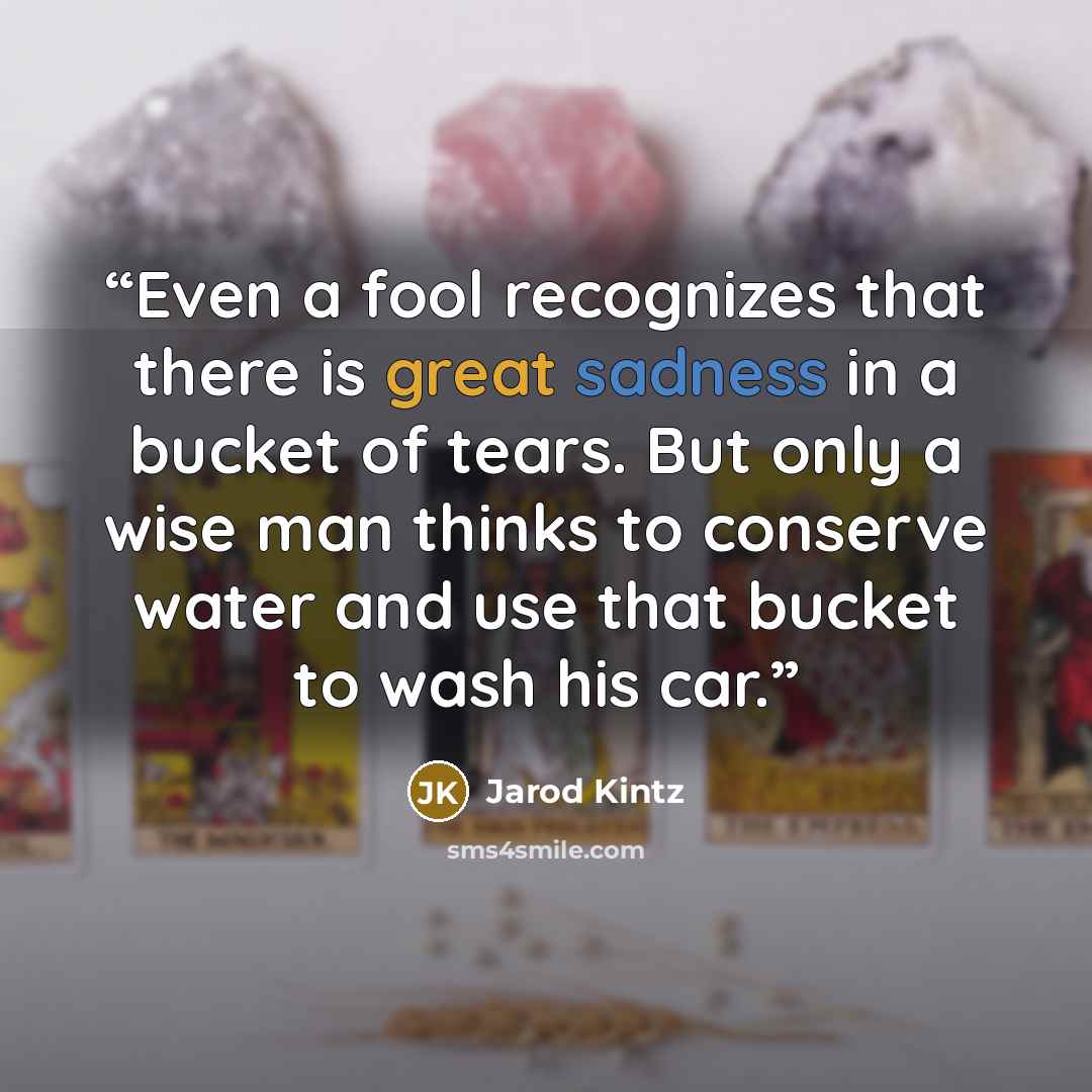 “Even a fool recognizes that there is great sadness in a bucket of tears. But only a wise man thinks to conserve water and use that bucket to wash his car.” quote by Jarod Kintz