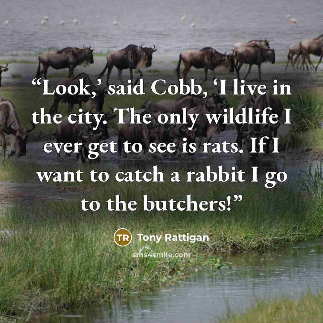 “Look,’ said Cobb, ‘I live in the city. The only wildlife I ever get to see is rats. If I want to catch a rabbit I go to the butchers!” quote by Tony Rattigan
