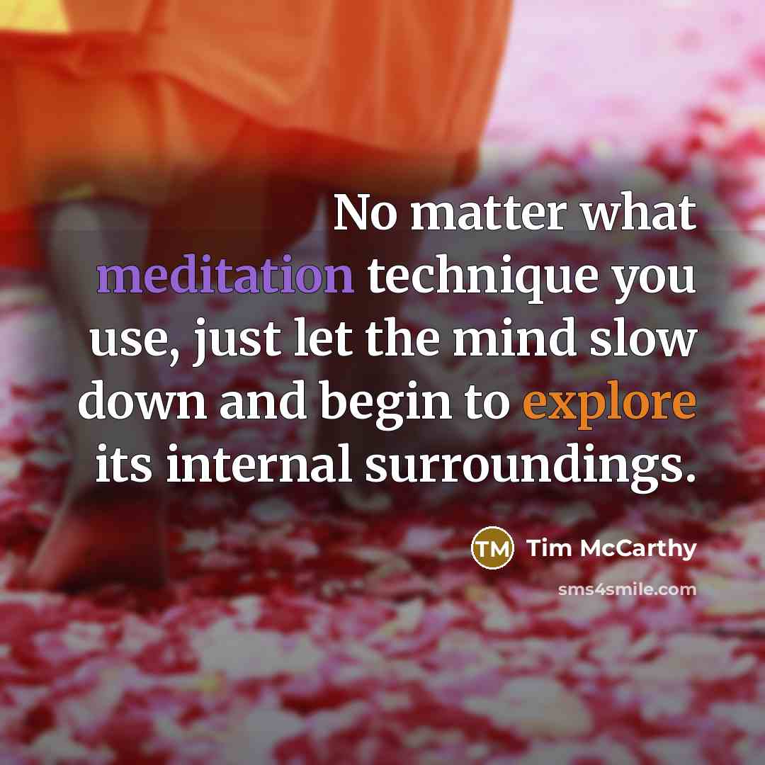 “No matter what meditation technique you use, just let the mind slow down and begin to explore its internal surroundings.” quote by Tim McCarthy