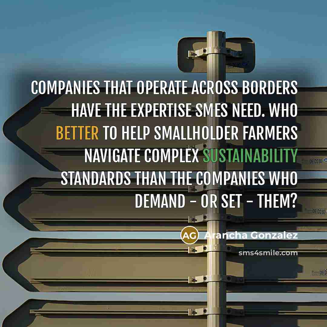 “Companies that operate across borders have the expertise SMEs need. Who better to help smallholder farmers navigate complex sustainability standards than the companies who demand - or set - them?” quote by Arancha Gonzalez