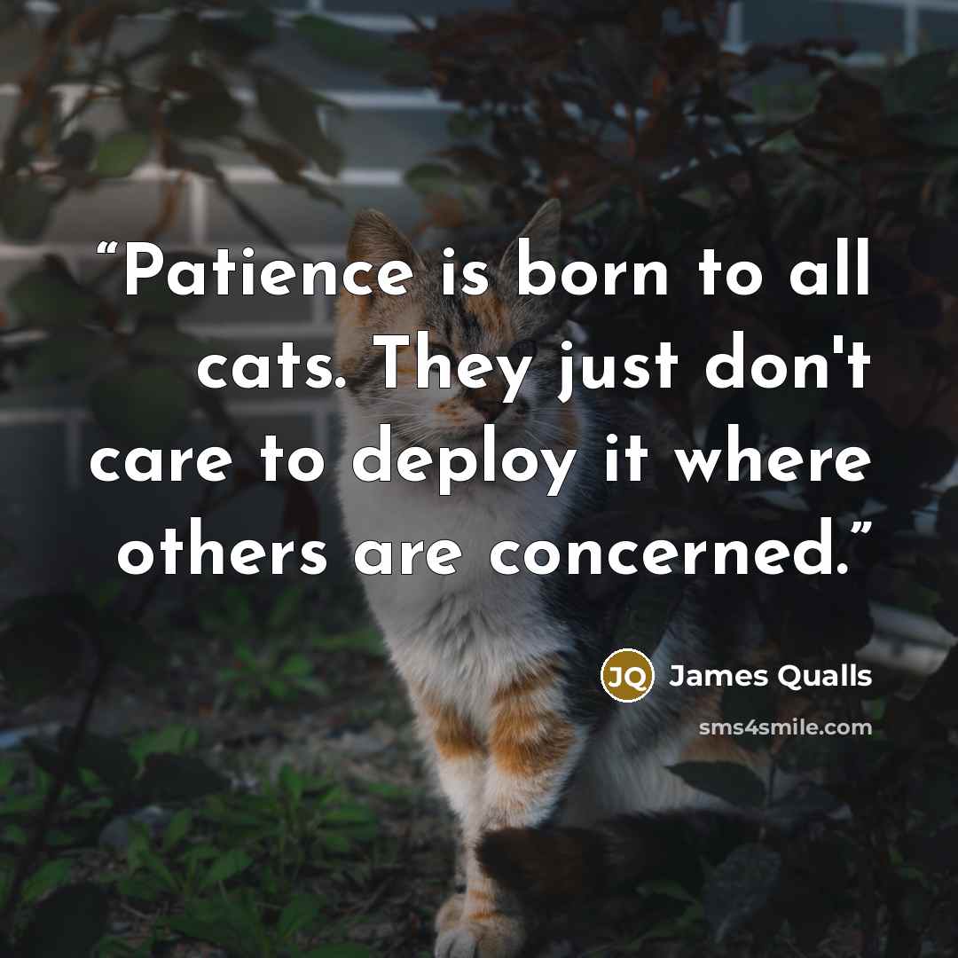 “Patience is born to all cats. They just don't care to deploy it where others are concerned.” quote by James Qualls