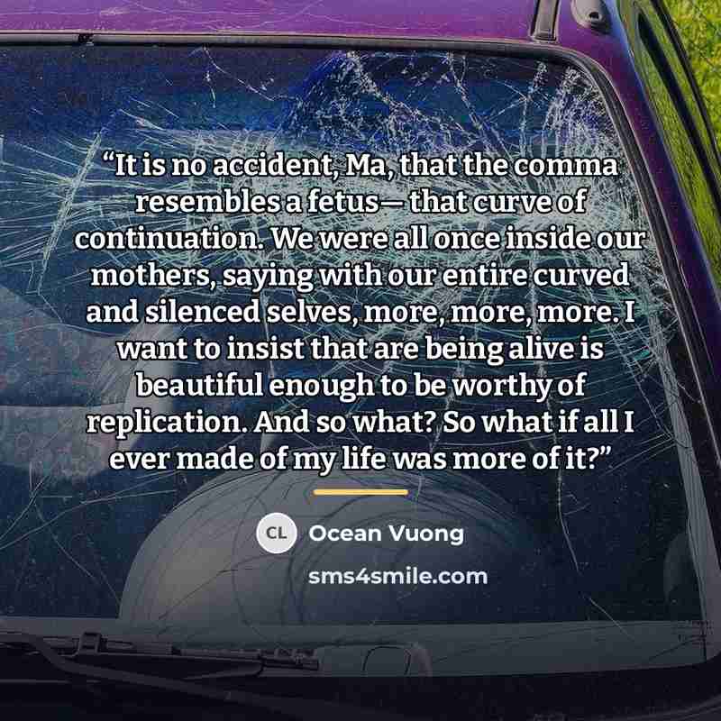 “It is no accident, Ma, that the comma resembles a fetus— that curve of continuation. We were all once inside our mothers, saying with our entire curved and silenced selves, more, more, more. I want to insist that are being alive is beautiful enough to be worthy of replication. And so what? So what…” quote by Ocean Vuong