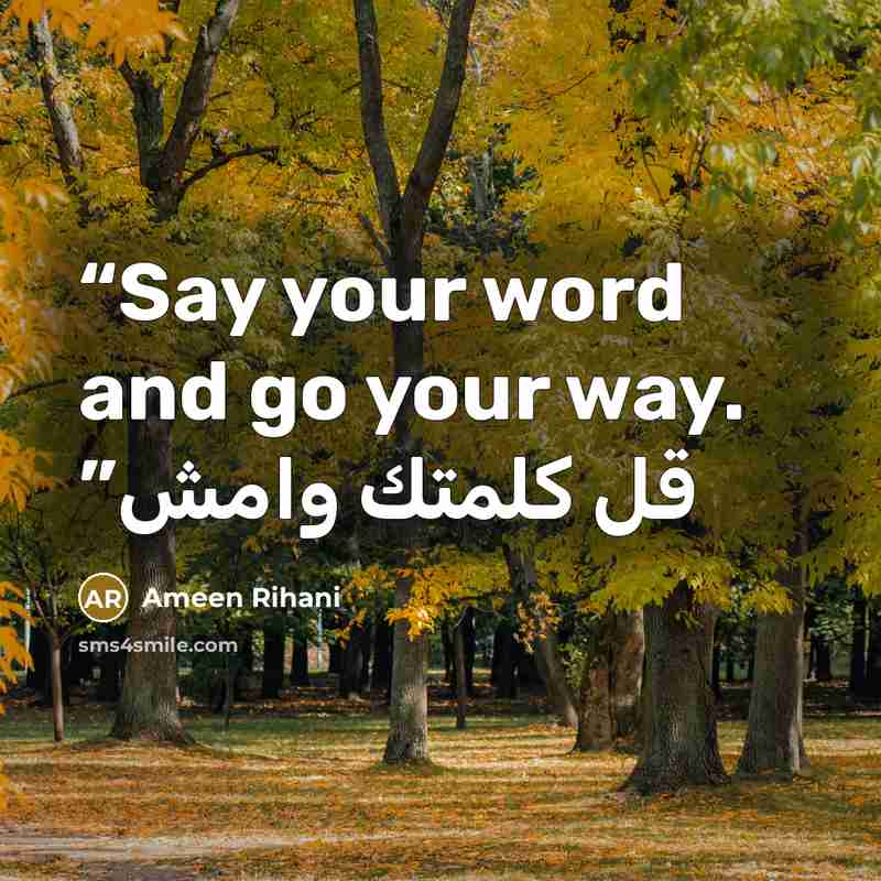 “Say your word and go your way. قل كلمتك وامش” quote by Ameen Rihani