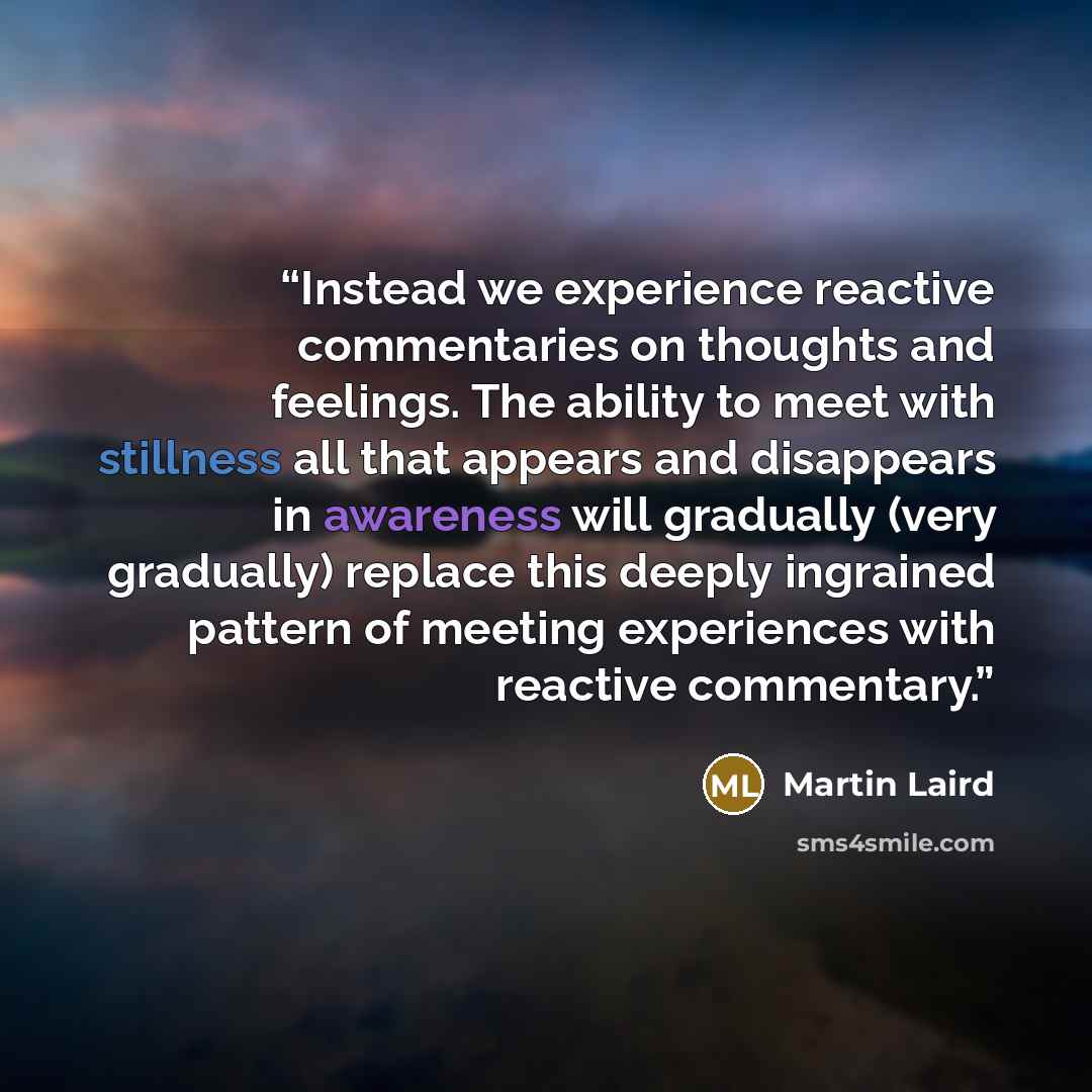 “Instead we experience reactive commentaries on thoughts and feelings. The ability to meet with stillness all that appears and disappears in awareness will gradually (very gradually) replace this deeply ingrained pattern of meeting experiences with reactive commentary.” quote by Martin Laird