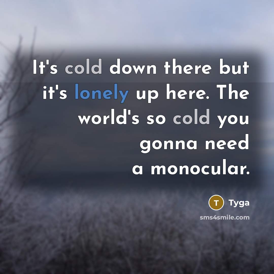 “It's cold down there but it's lonely up here. The world's so cold you gonna need a monocular.” quote by Tyga