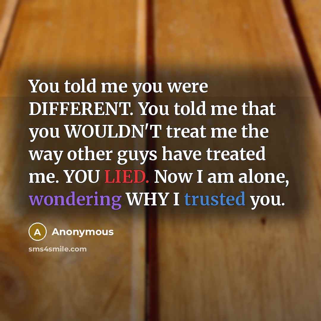 “You told me you were DIFFERENT. You told me that you WOULDN'T treat me the way other guys have treated me. YOU LIED. Now I am alone, wondering WHY I trusted you.” quote by Anonymous