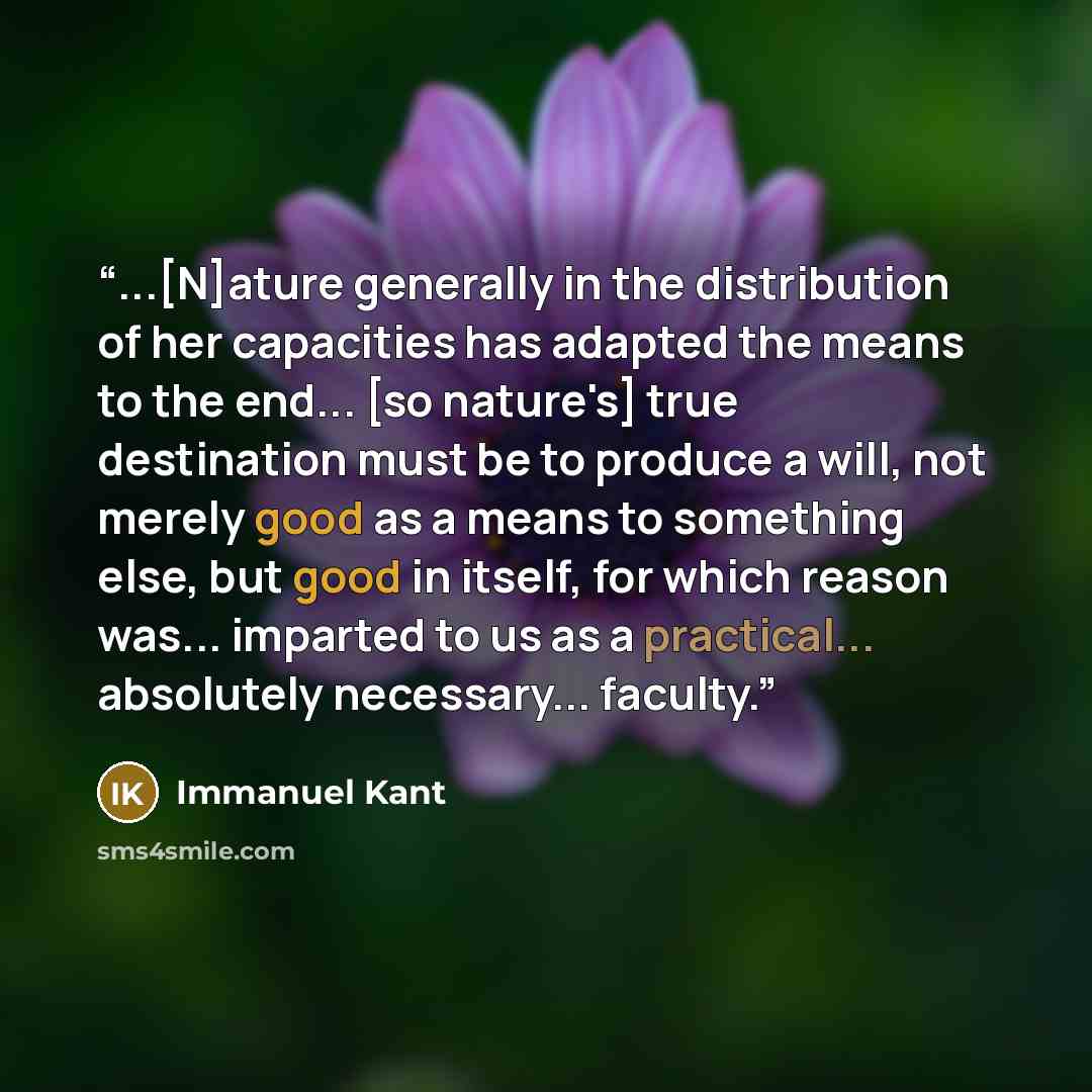 “...[N]ature generally in the distribution of her capacities has adapted the means to the end... [so nature's] true destination must be to produce a will, not merely good as a means to something else, but good in itself, for which reason was... imparted to us as a practical... absolutely…” quote by Immanuel Kant