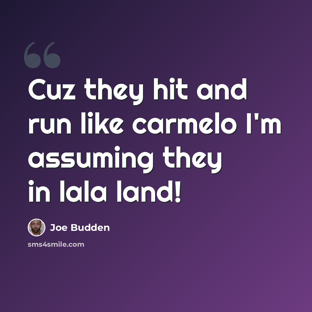 “Cuz they hit and run like carmelo I'm assuming they in lala land!” quote by Joe Budden