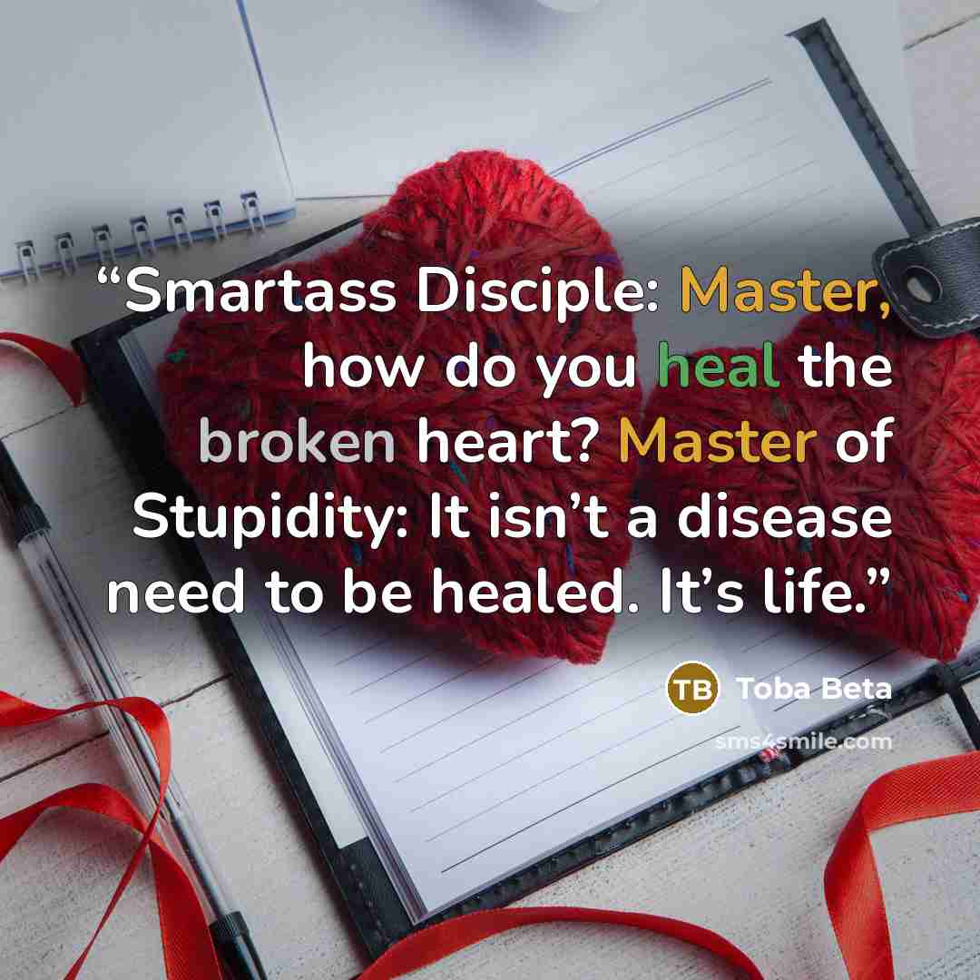 “Smartass Disciple: Master, how do you heal the broken heart? Master of Stupidity: It isn’t a disease need to be healed. It’s life.” quote by Toba Beta