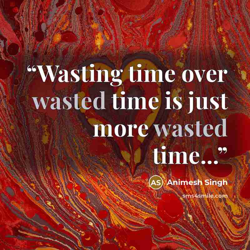 “Wasting time over wasted time is just more wasted time...” quote by Animesh Singh