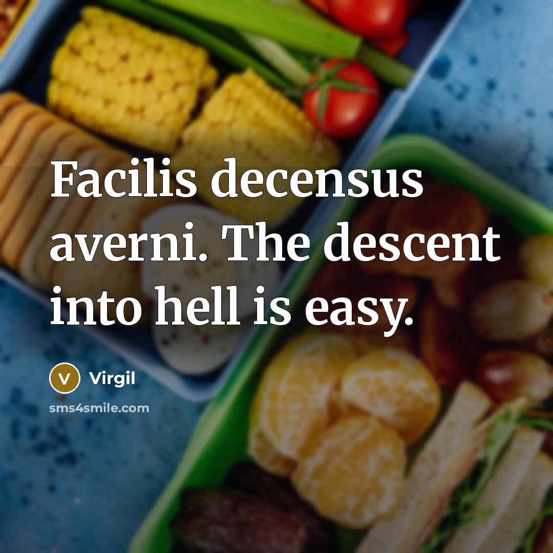 “Facilis decensus averni. The descent into hell is easy.” quote by Virgil