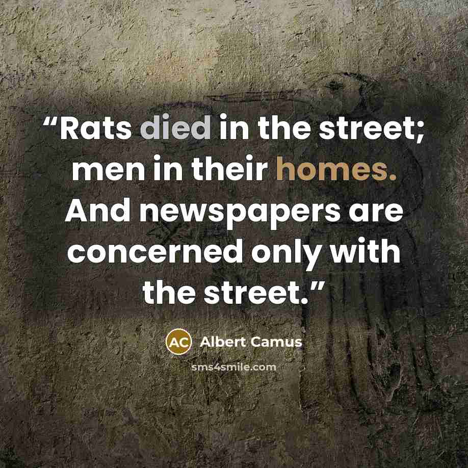 “Rats died in the street; men in their homes. And newspapers are concerned only with the street.” quote by Albert Camus