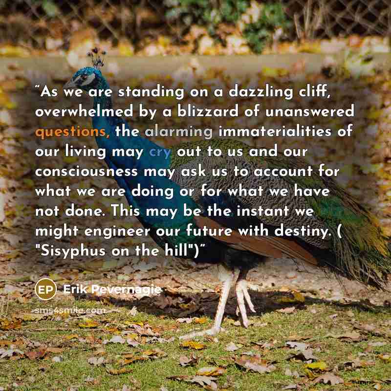 “As we are standing on a dazzling cliff, overwhelmed by a blizzard of unanswered questions, the alarming immaterialities of our living may cry out to us and our consciousness may ask us to account for what we are doing or for what we have not done. This may be the instant we might engineer our…” quote by Erik Pevernagie
