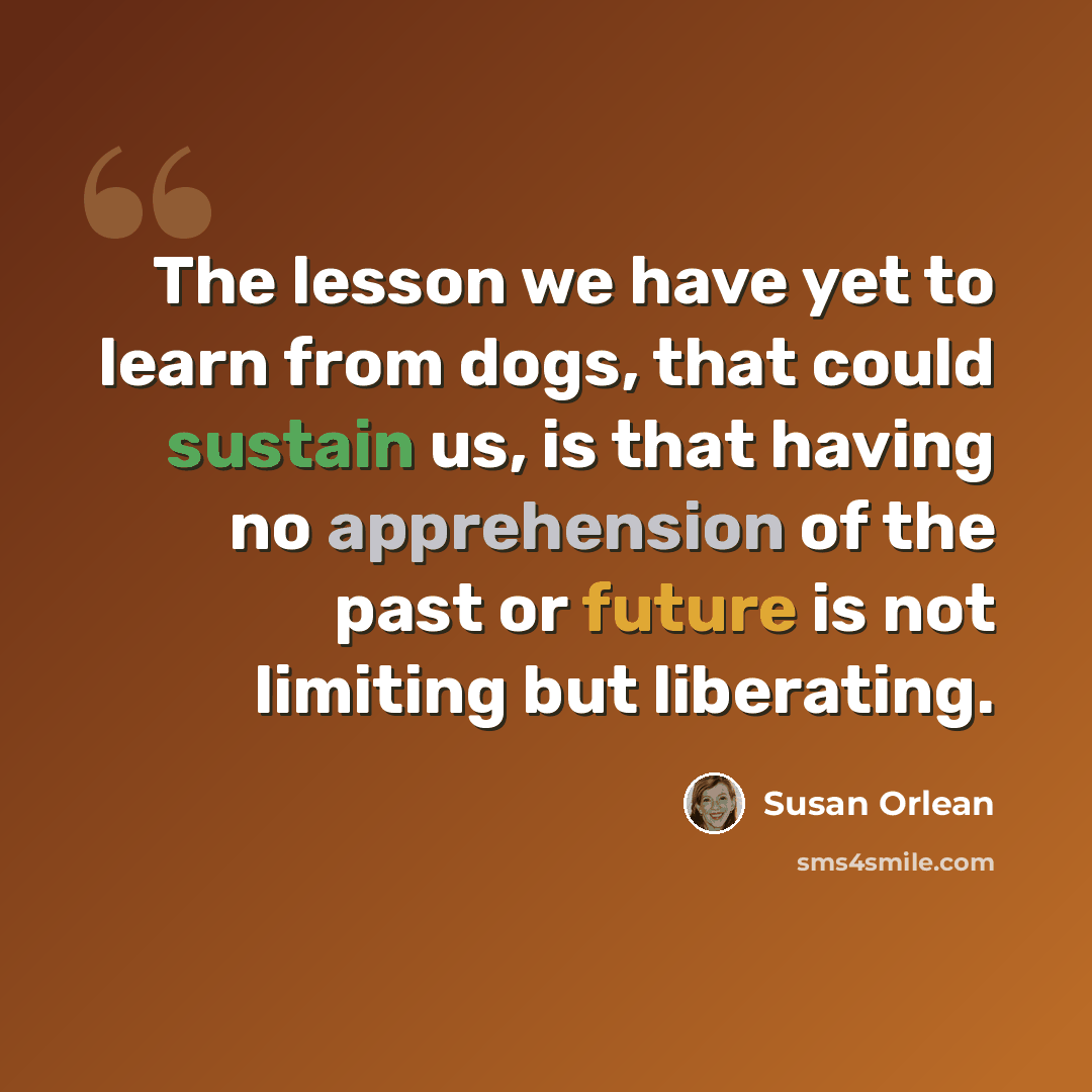 “The lesson we have yet to learn from dogs, that could sustain us, is that having no apprehension of the past or future is not limiting but liberating.” quote by Susan Orlean