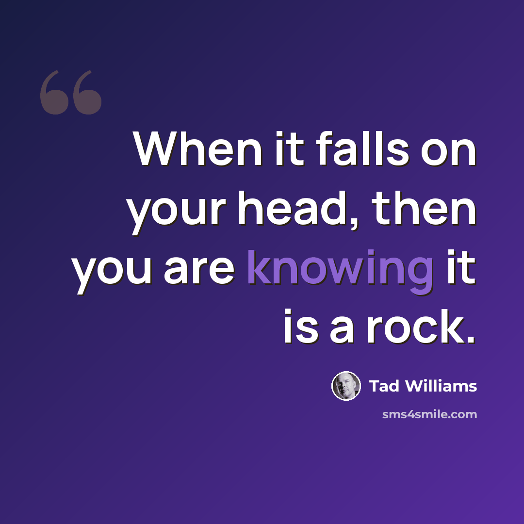 “When it falls on your head, then you are knowing it is a rock.” quote by Tad Williams