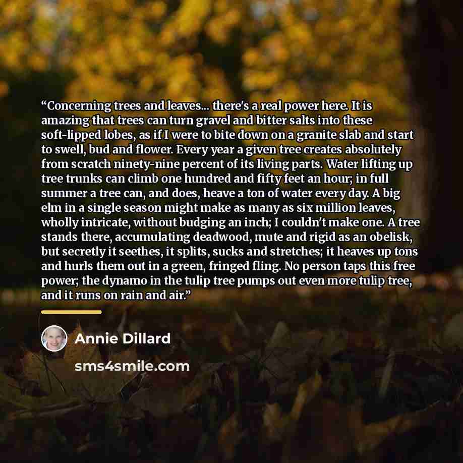 “Concerning trees and leaves... there's a real power here. It is amazing that trees can turn gravel and bitter salts into these soft-lipped lobes, as if I were to bite down on a granite slab and start to swell, bud and flower. Every year a given tree creates absolutely from scratch ninety-nine…” quote by Annie Dillard