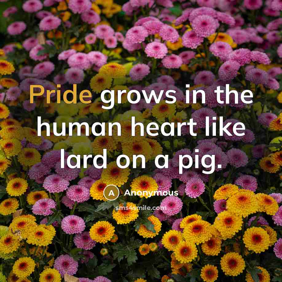 “Pride grows in the human heart like lard on a pig.” quote by Anonymous