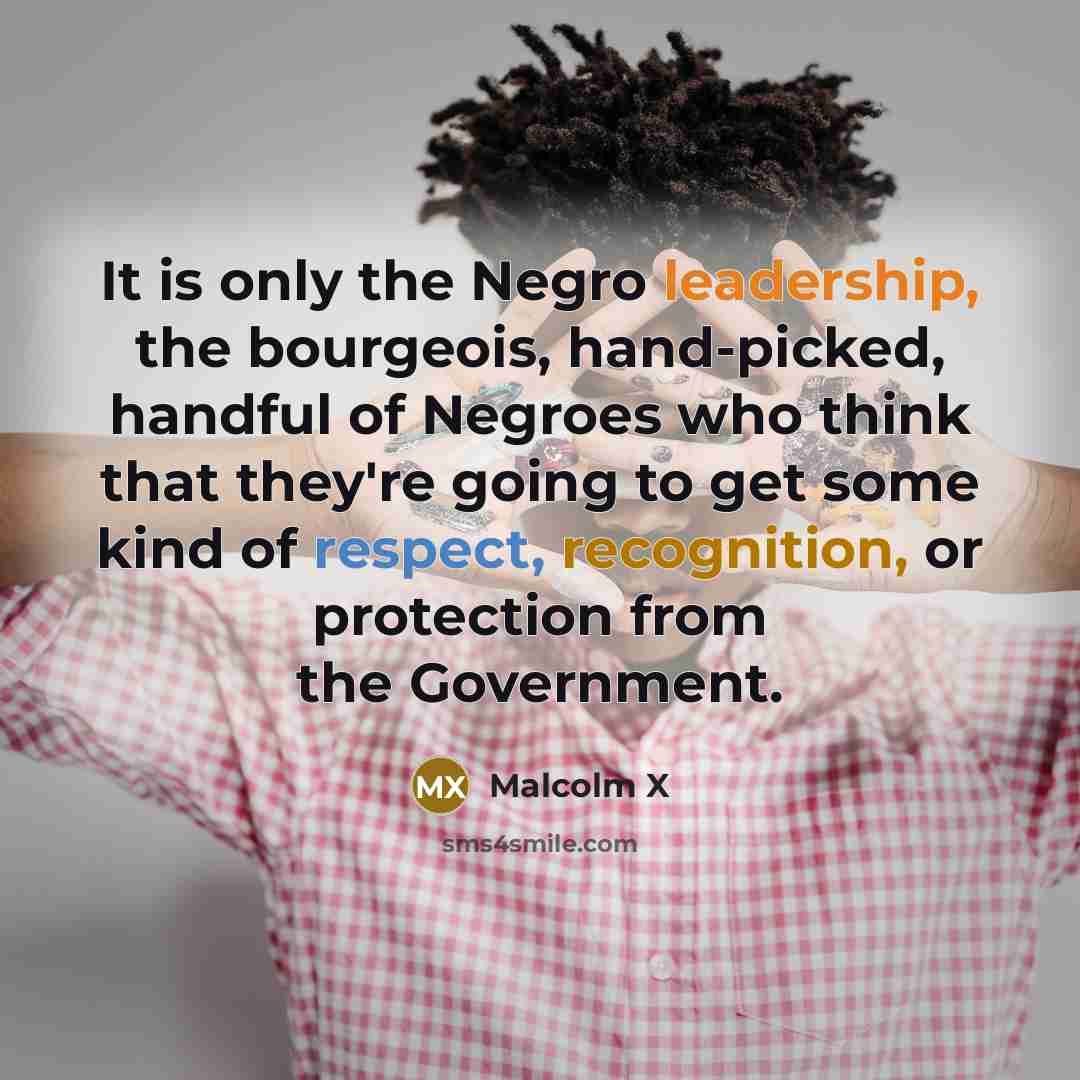 “It is only the Negro leadership, the bourgeois, hand-picked, handful of Negroes who think that they're going to get some kind of respect, recognition, or protection from the Government.” quote by Malcolm X