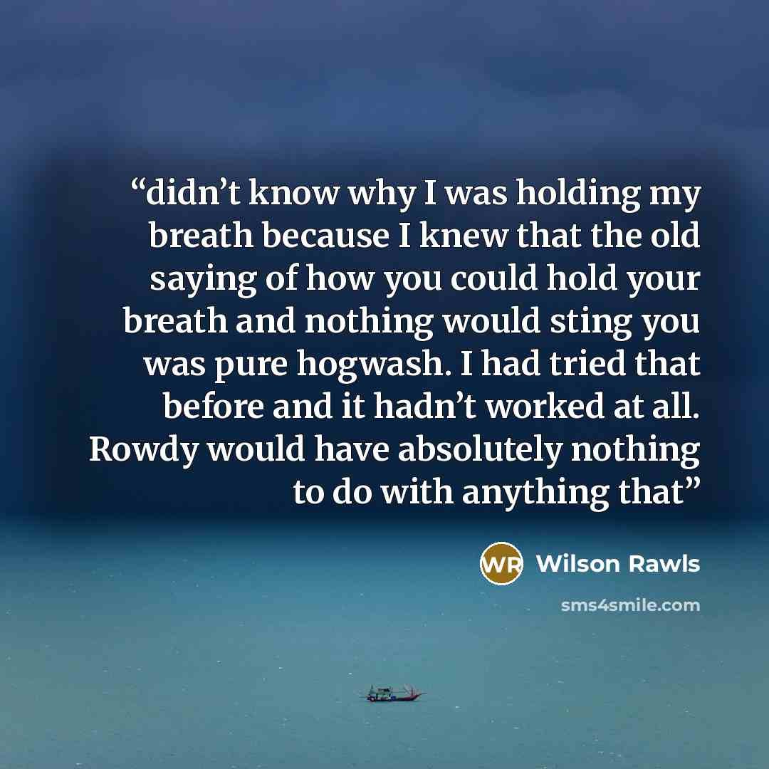 “didn’t know why I was holding my breath because I knew that the old saying of how you could hold your breath and nothing would sting you was pure hogwash. I had tried that before and it hadn’t worked at all. Rowdy would have absolutely nothing to do with anything that” quote by Wilson Rawls