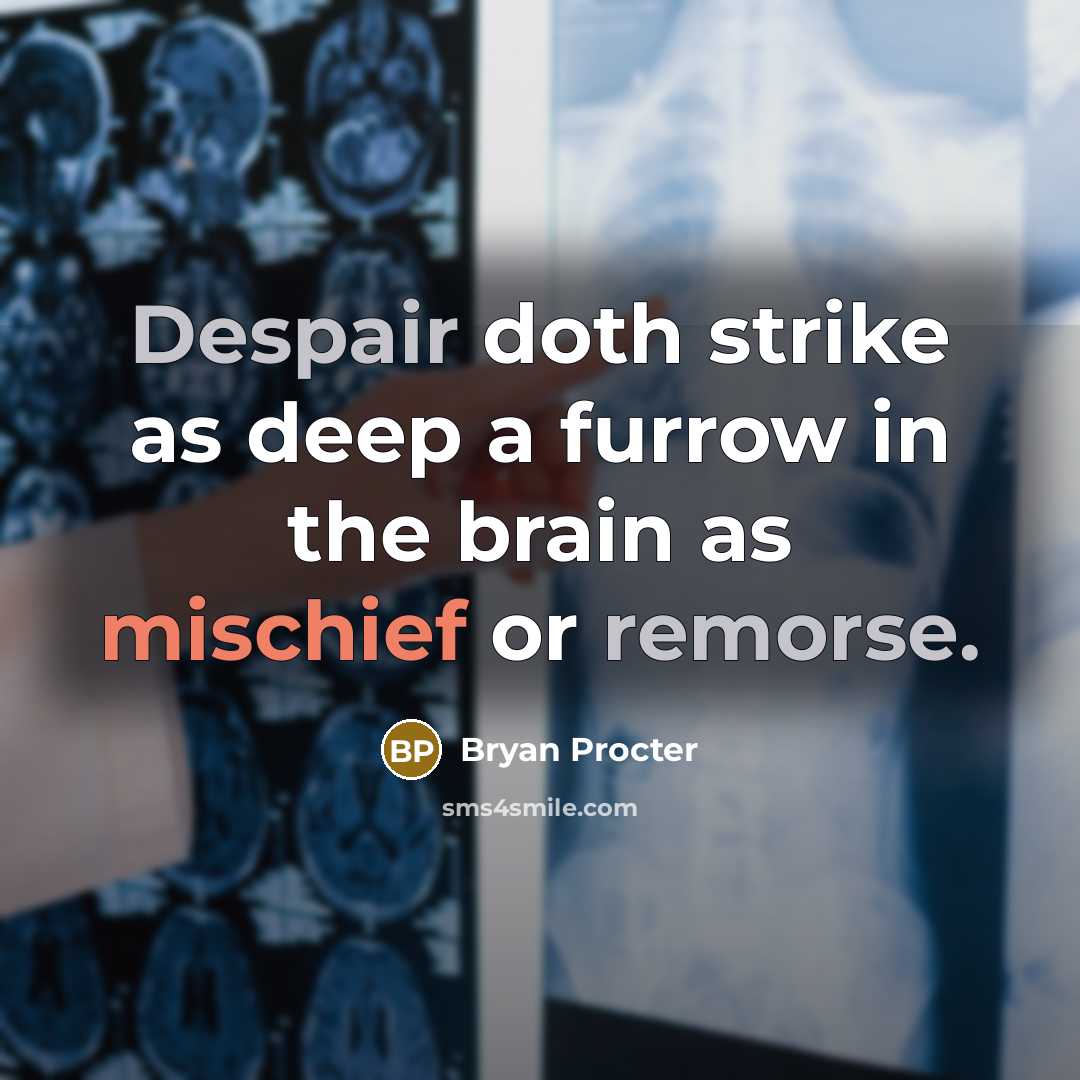 “Despair doth strike as deep a furrow in the brain as mischief or remorse.” quote by Bryan Procter