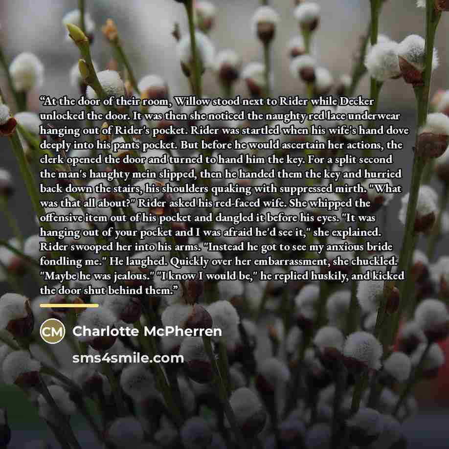 “At the door of their room, Willow stood next to Rider while Decker unlocked the door. It was then she noticed the naughty red lace underwear hanging out of Rider's pocket. Rider was startled when his wife's hand dove deeply into his pants pocket. But before he would ascertain her actions, the…” quote by Charlotte McPherren