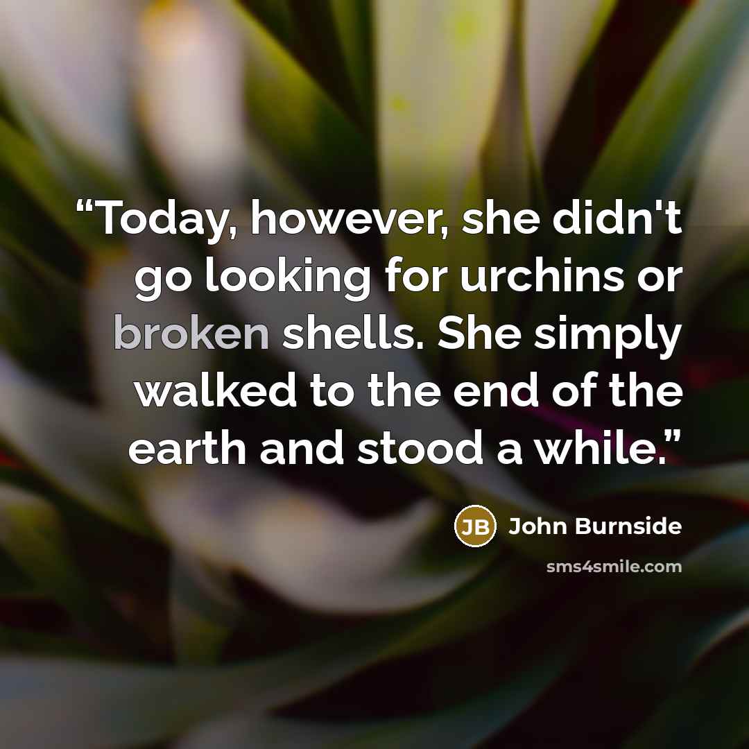 “Today, however, she didn't go looking for urchins or broken shells. She simply walked to the end of the earth and stood a while.” quote by John Burnside