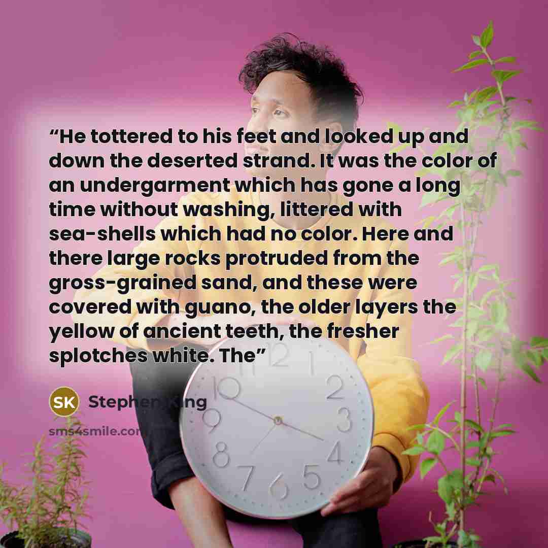 “He tottered to his feet and looked up and down the deserted strand. It was the color of an undergarment which has gone a long time without washing, littered with sea-shells which had no color. Here and there large rocks protruded from the gross-grained sand, and these were covered with guano, the…” quote by Stephen King