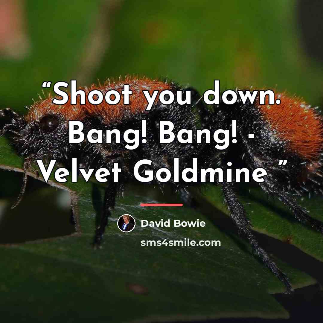 “Shoot you down. Bang! Bang! - Velvet Goldmine” quote by David Bowie