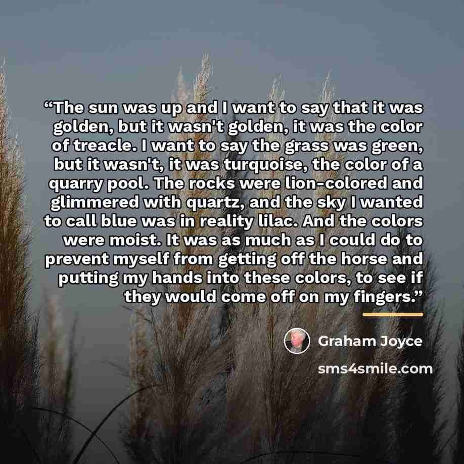 “The sun was up and I want to say that it was golden, but it wasn't golden, it was the color of treacle. I want to say the grass was green, but it wasn't, it was turquoise, the color of a quarry pool. The rocks were lion-colored and glimmered with quartz, and the sky I wanted to call blue was in…” quote by Graham Joyce