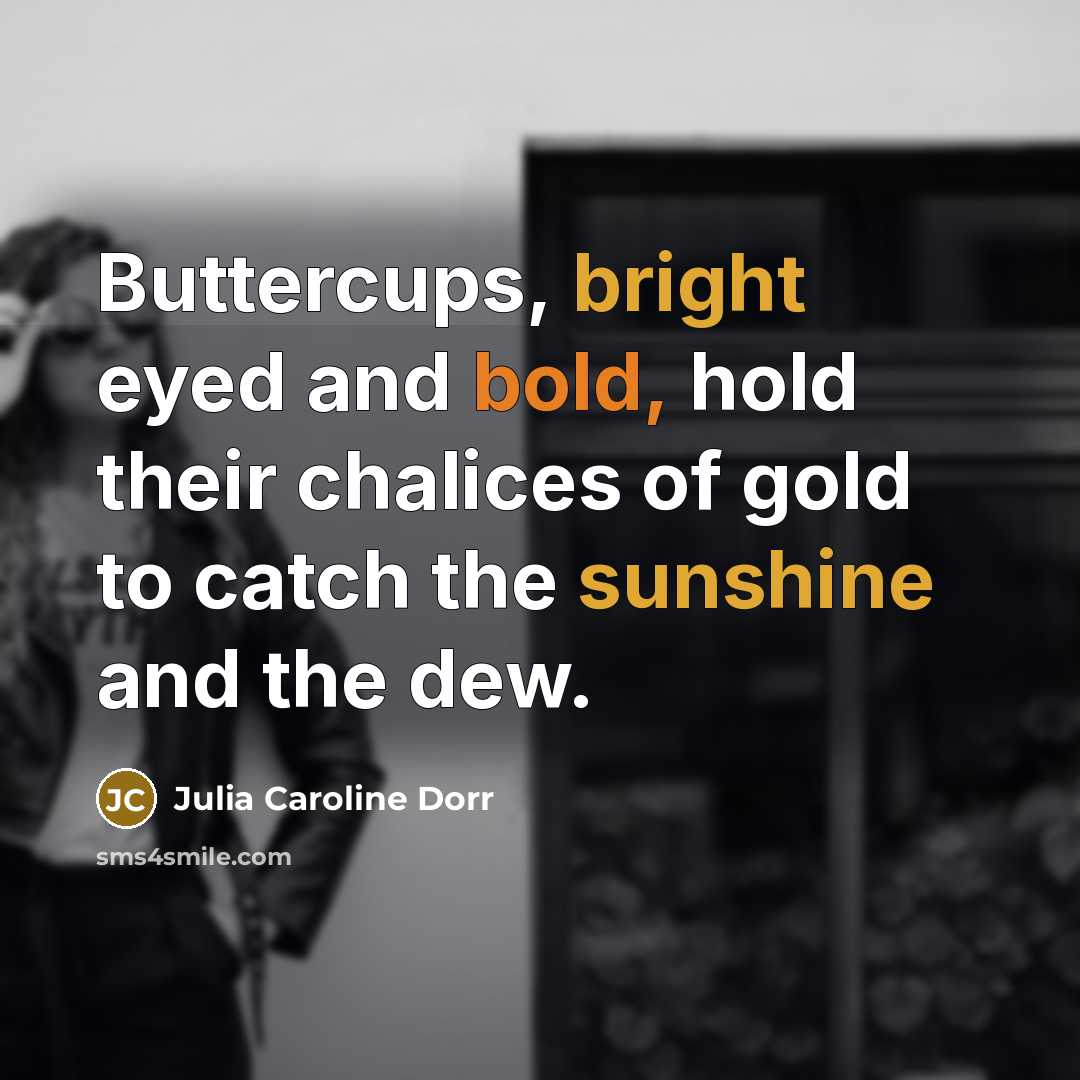 “Buttercups, bright eyed and bold, hold their chalices of gold to catch the sunshine and the dew.” quote by Julia Caroline Dorr