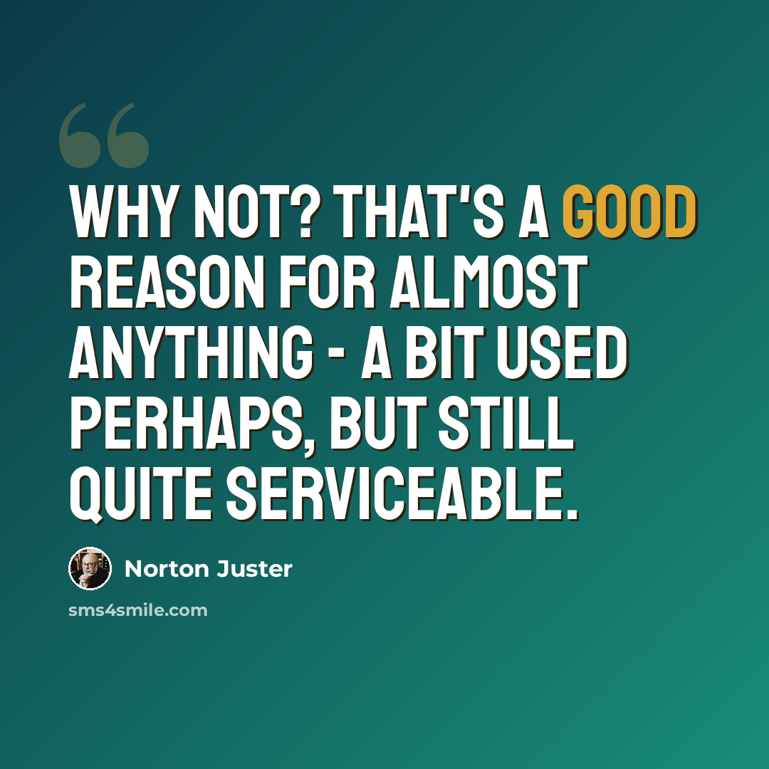 “Why not? That's a good reason for almost anything - a bit used perhaps, but still quite serviceable.” quote by Norton Juster