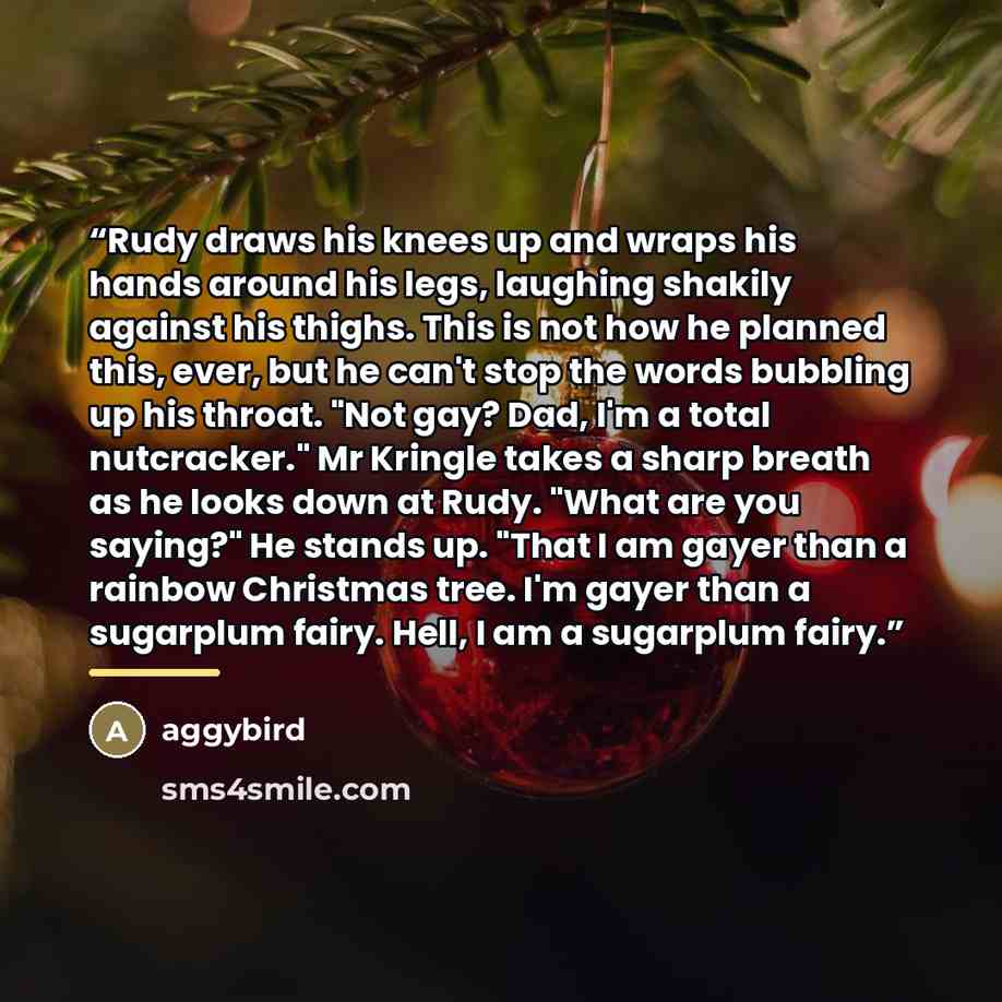 “Rudy draws his knees up and wraps his hands around his legs, laughing shakily against his thighs. This is not how he planned this, ever, but he can't stop the words bubbling up his throat. "Not gay? Dad, I'm a total nutcracker." Mr Kringle takes a sharp breath as he looks down at Rudy. "What are…” quote by aggybird