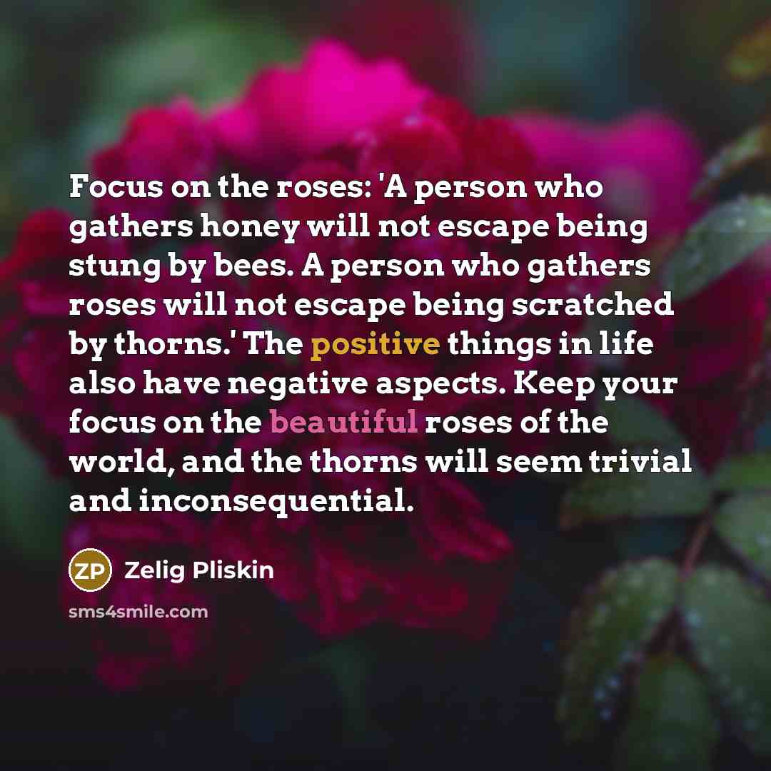 “Focus on the roses: 'A person who gathers honey will not escape being stung by bees. A person who gathers roses will not escape being scratched by thorns.' The positive things in life also have negative aspects. Keep your focus on the beautiful roses of the world, and the thorns will seem trivial…” quote by Zelig Pliskin
