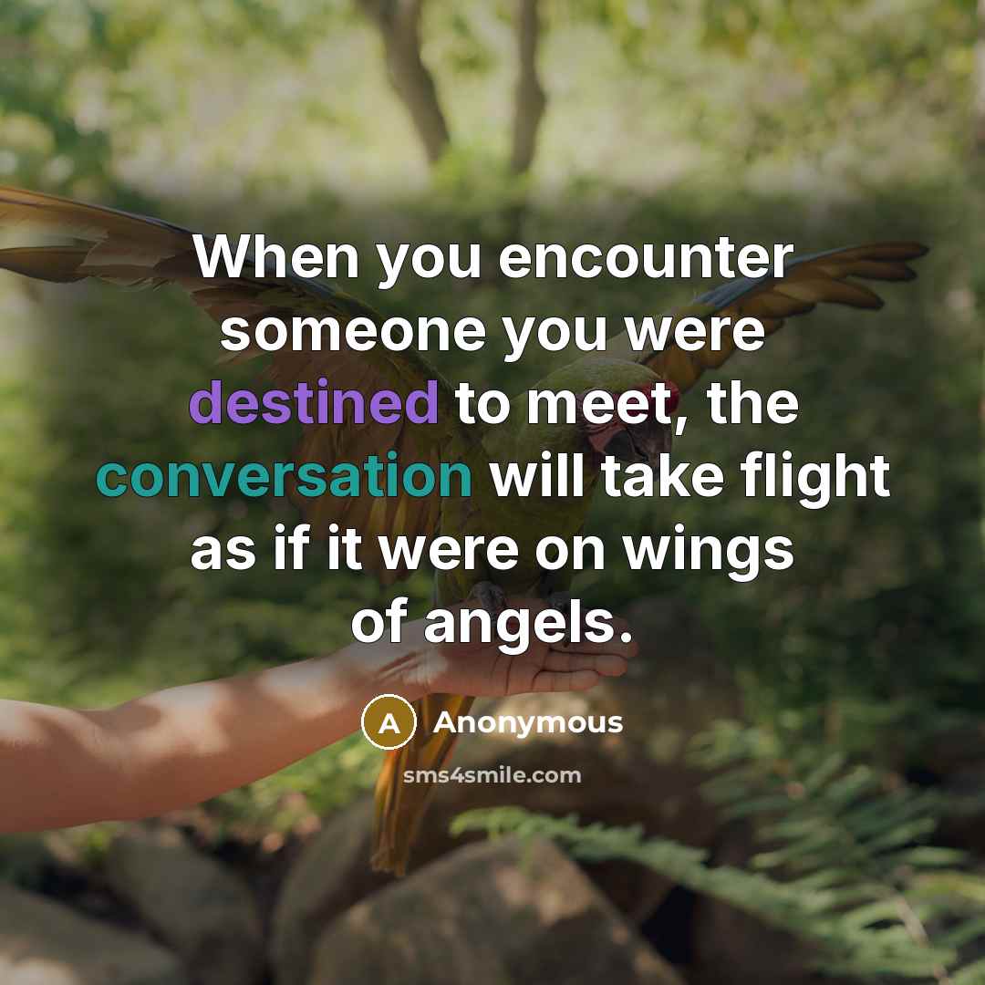 “When you encounter someone you were destined to meet, the conversation will take flight as if it were on wings of angels.” quote by Anonymous
