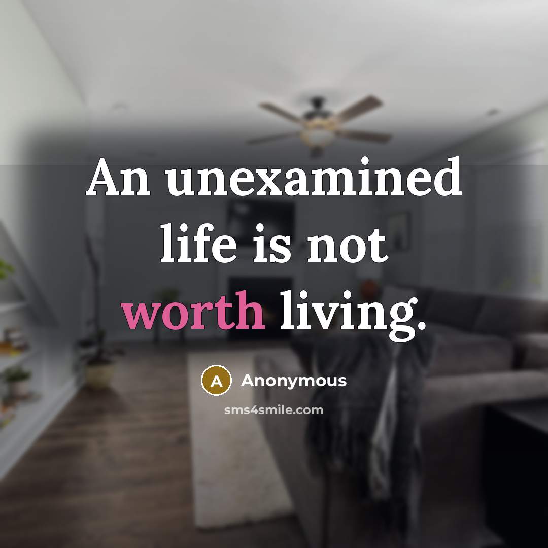 “An unexamined life is not worth living.” quote by Anonymous