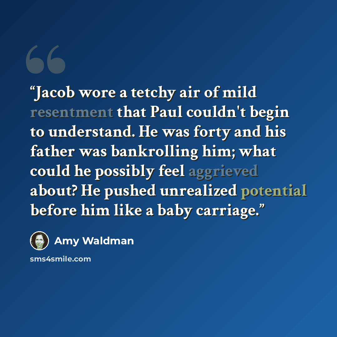 “Jacob wore a tetchy air of mild resentment that Paul couldn't begin to understand. He was forty and his father was bankrolling him; what could he possibly feel aggrieved about? He pushed unrealized potential before him like a baby carriage.” quote by Amy Waldman