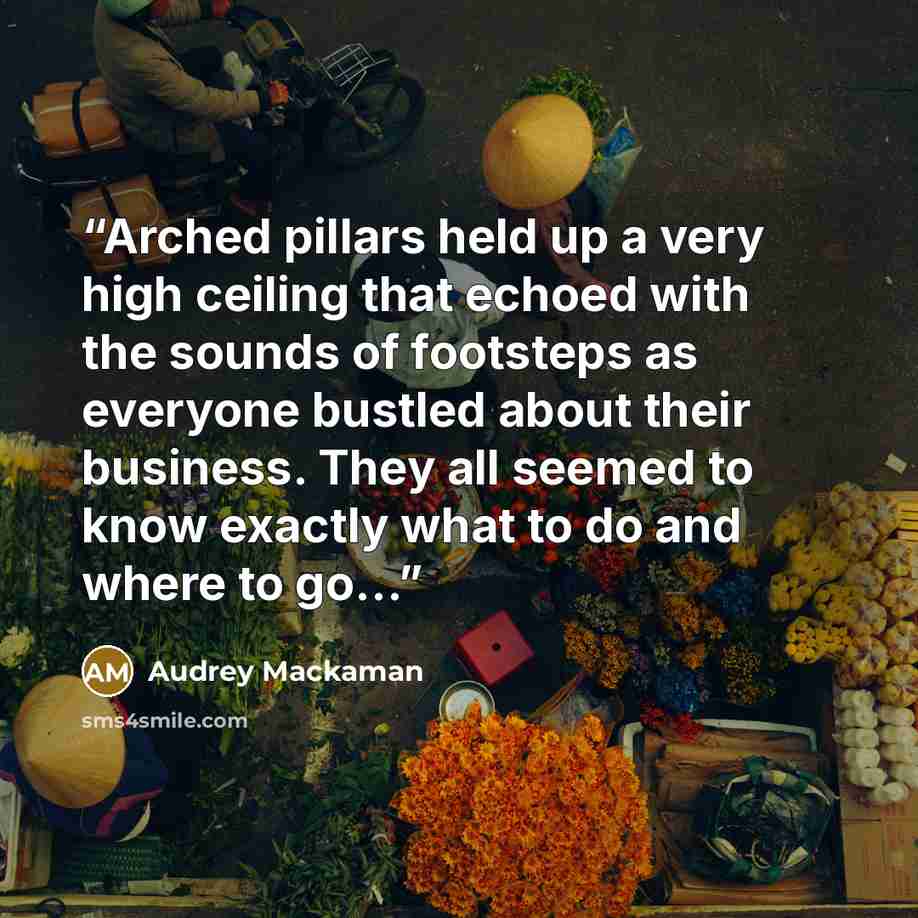 “Arched pillars held up a very high ceiling that echoed with the sounds of footsteps as everyone bustled about their business. They all seemed to know exactly what to do and where to go...” quote by Audrey Mackaman
