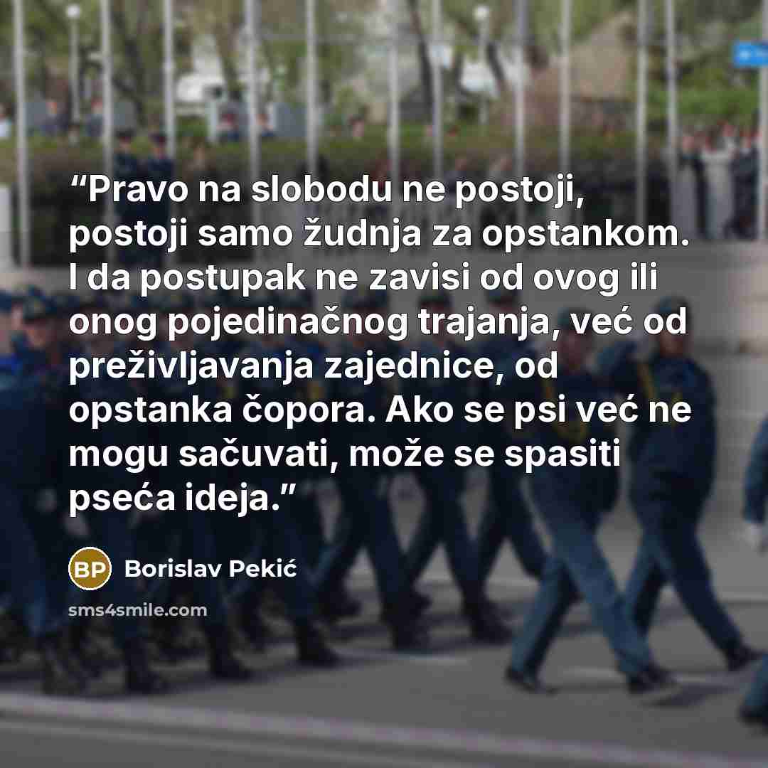 “Pravo na slobodu ne postoji, postoji samo žudnja za opstankom. I da postupak ne zavisi od ovog ili onog pojedinačnog trajanja, već od preživljavanja zajednice, od opstanka čopora. Ako se psi već ne mogu sačuvati, može se spasiti pseća ideja.” quote by Borislav Pekić