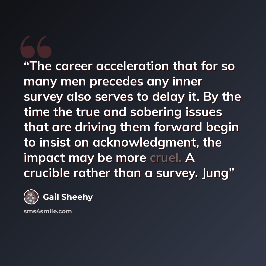 “The career acceleration that for so many men precedes any inner survey also serves to delay it. By the time the true and sobering issues that are driving them forward begin to insist on acknowledgment, the impact may be more cruel. A crucible rather than a survey. Jung” quote by Gail Sheehy