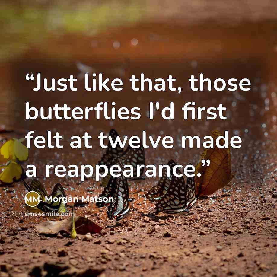 “Just like that, those butterflies I'd first felt at twelve made a reappearance.” quote by Morgan Matson