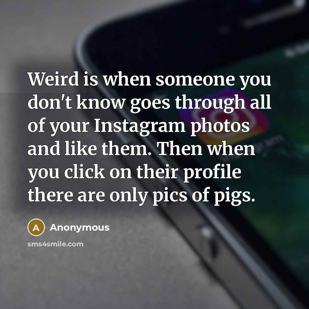 “Weird is when someone you don't know goes through all of your Instagram photos and like them. Then when you click on their profile there are only pics of pigs.” quote by Anonymous