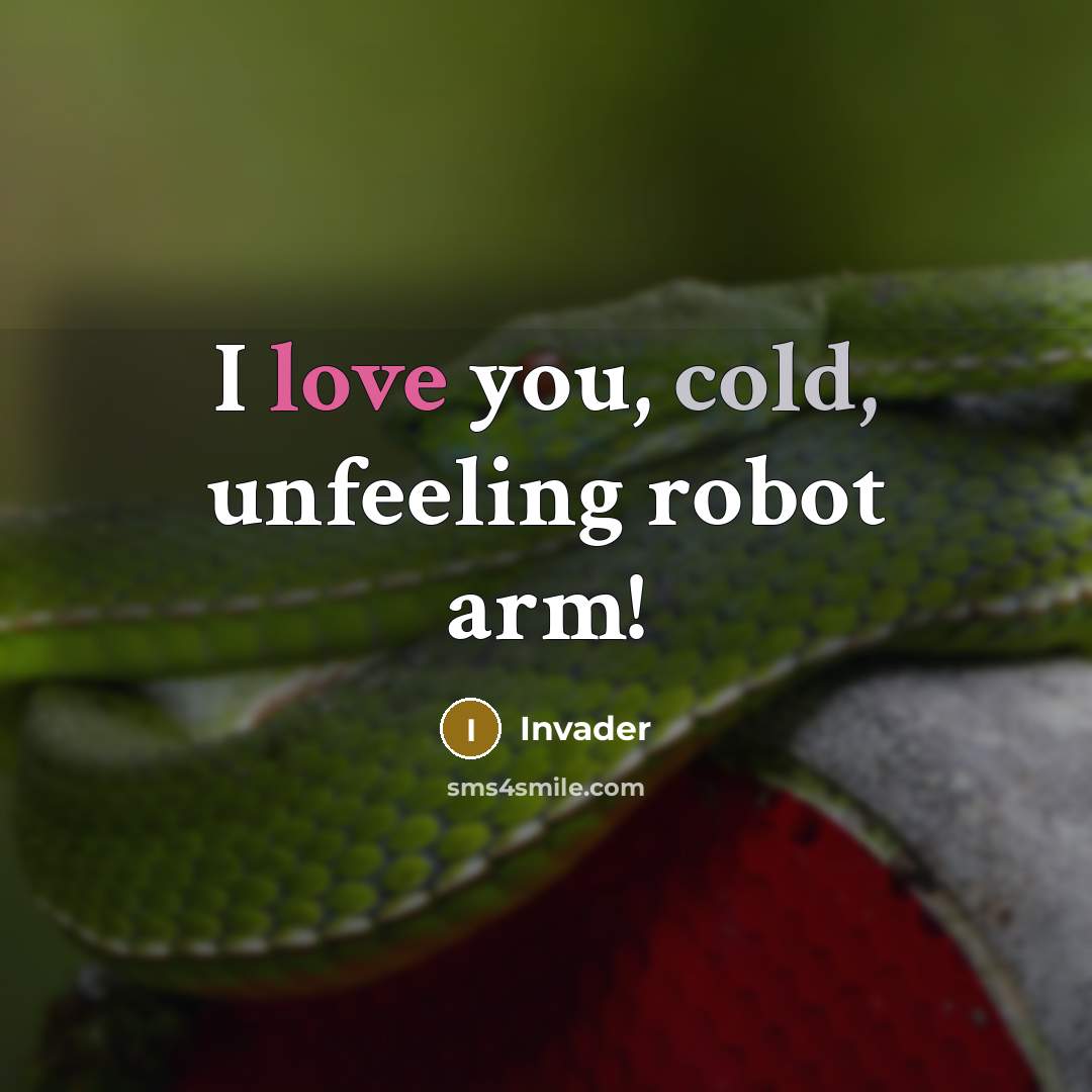 “I love you, cold, unfeeling robot arm!” quote by Invader